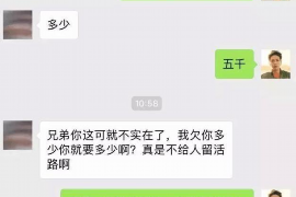 苍南专业催债公司的市场需求和前景分析